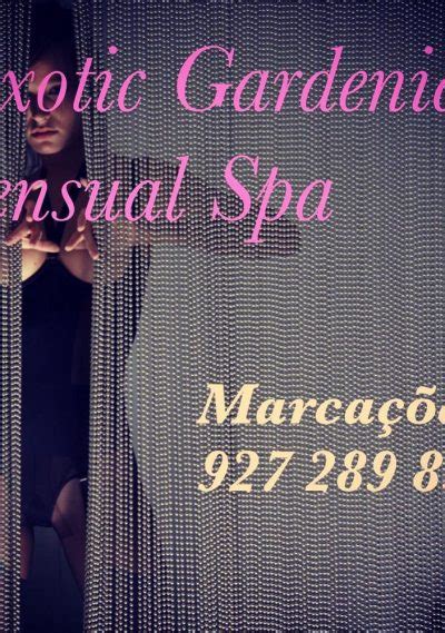 Erotic massage Porto Barra do Ivinheima
