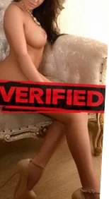 Veronica tits Find a prostitute Addo